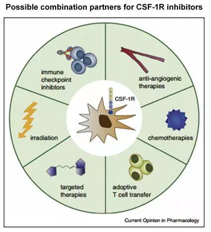 旋乐吧spin8(中国区)手机版官方网站