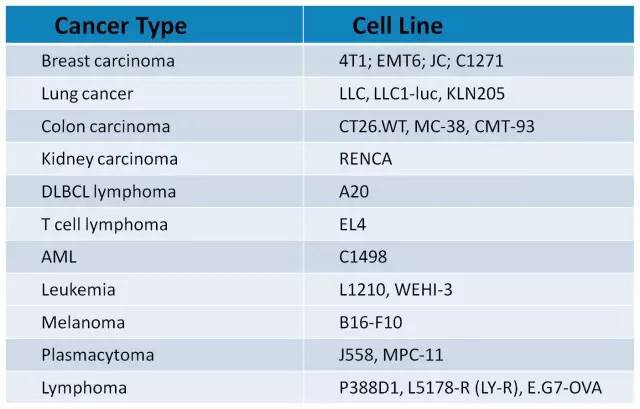 旋乐吧spin8(中国区)手机版官方网站