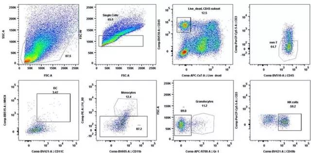 旋乐吧spin8(中国区)手机版官方网站