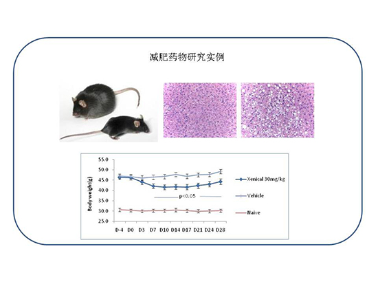旋乐吧spin8(中国区)手机版官方网站