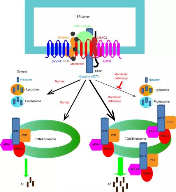 旋乐吧spin8(中国区)手机版官方网站