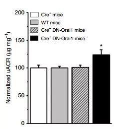 旋乐吧spin8(中国区)手机版官方网站