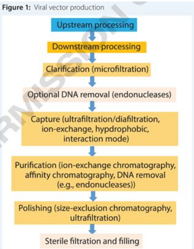 旋乐吧spin8(中国区)手机版官方网站