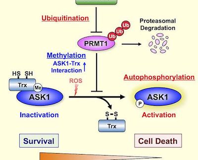旋乐吧spin8(中国区)手机版官方网站