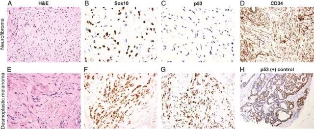 旋乐吧spin8(中国区)手机版官方网站