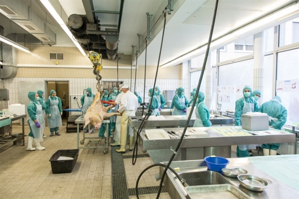 9成国产化药注射剂十年前获批这三家企业面临更多决议