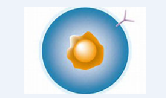 旋乐吧spin8(中国区)手机版官方网站