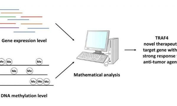 旋乐吧spin8(中国区)手机版官方网站