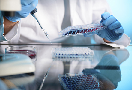 289目录海内特有品种一致性评价抱团才有戏？？？？？？