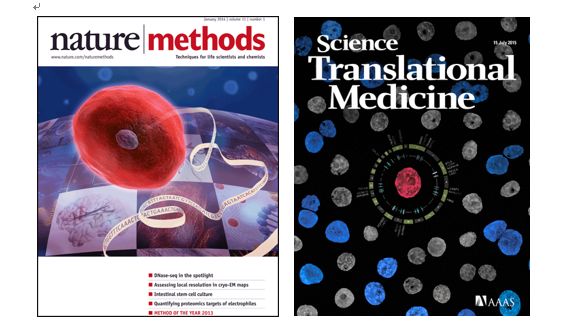旋乐吧spin8(中国区)手机版官方网站