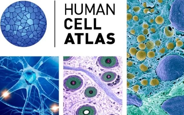 旋乐吧spin8(中国区)手机版官方网站