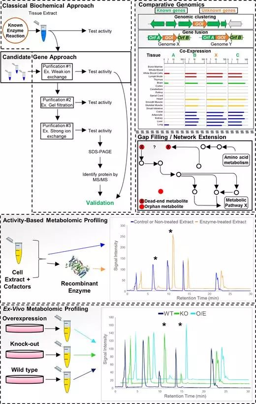 旋乐吧spin8(中国区)手机版官方网站