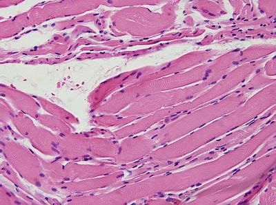 旋乐吧spin8(中国区)手机版官方网站