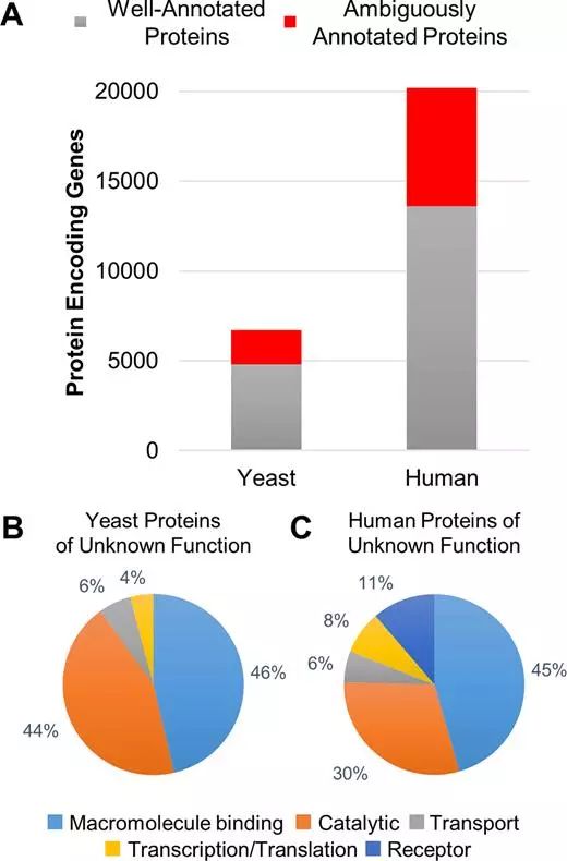 旋乐吧spin8(中国区)手机版官方网站