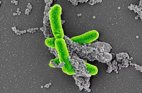 旋乐吧spin8(中国区)手机版官方网站