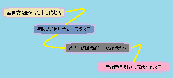 旋乐吧spin8(中国区)手机版官方网站