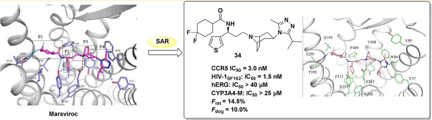 旋乐吧spin8(中国区)手机版官方网站