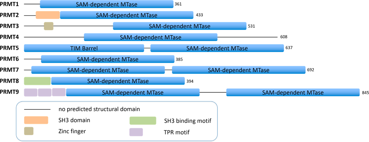 旋乐吧spin8(中国区)手机版官方网站