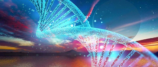 旋乐吧spin8(中国区)手机版官方网站