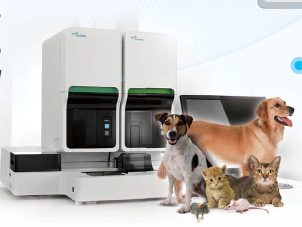 旋乐吧spin8(中国区)手机版官方网站