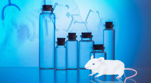 旋乐吧spin8-您理想的DMPK研究同伴