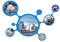 科创板首家CRO企业旋乐吧spin8获准注册