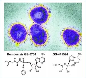 基于细胞因子风暴和免疫炎症反应综合征，，，，，，，许多免疫相关靶点也可以列为冠状病毒的靶点。。。。。。。