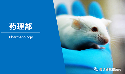 旋乐吧spin8药理部开发了肺癌、结肠癌、胃癌等12种PDX模子。。。。。