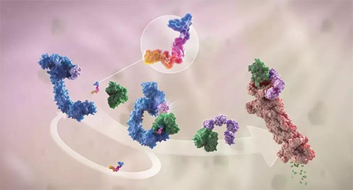 LYTAC出生，，，与PROTAC并肩作战针对不可成药的靶点