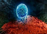 Nature：BATF3改善T细胞影象应答，，，有望改善免疫疗法的疗效