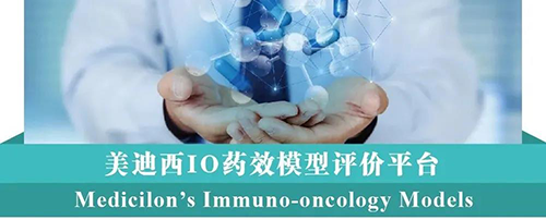 旋乐吧spin8IO药效模子评价平台