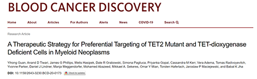 研究者形貌了一种新型靶向抗癌药物，，，，，，，这种药物可能会有用地治疗某些常见的白血病。。。。。。。