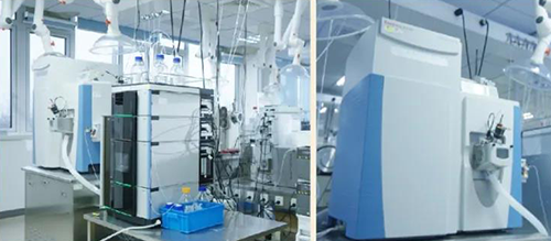 旋乐吧spin8DMPK剖析效劳