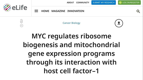 可以“融化”肿瘤的卵白质，，，你一定没有听说过！