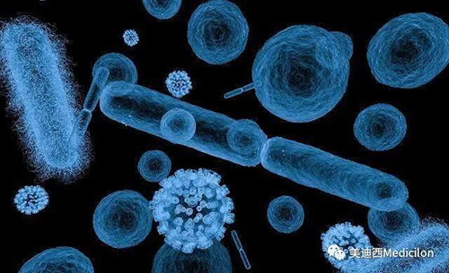 20分钟，，，大大都细菌都可以繁衍一代 旋乐吧spin8生物医药