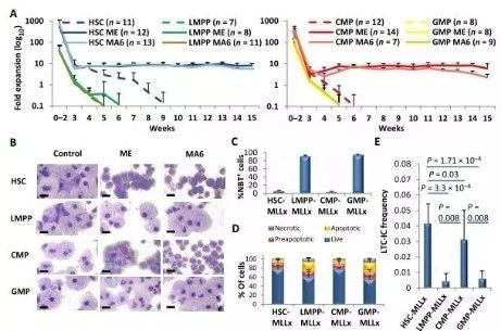 Science子刊：一种FDA批准的抗腹泻药物可有用对抗化疗的耐药性 旋乐吧spin8生物医药