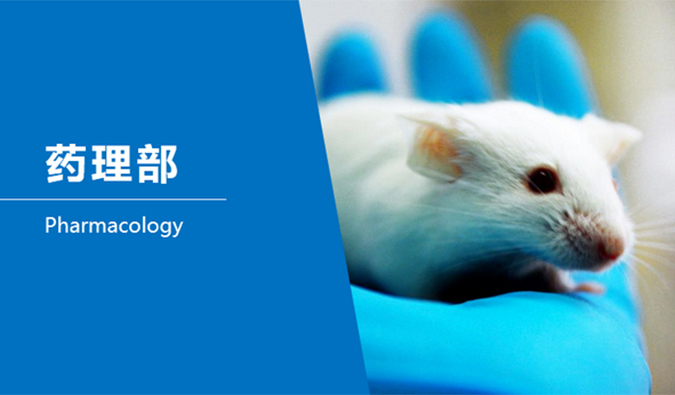 旋乐吧spin8临床前研究-药理部