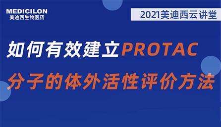 【云课堂】：怎样有用建设PROTAC分子的体外活性评价要领？？？？