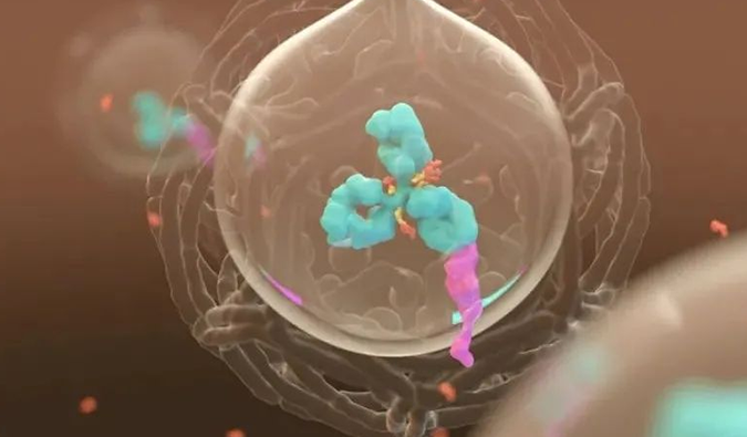 美研 | 旋乐吧spin8带您相识ADC玄妙之处