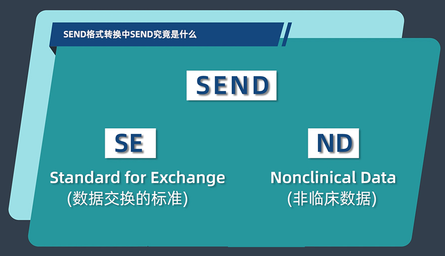 SEND名堂转换中的SEND事实是什么？？？？？