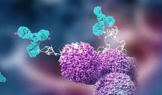 旋乐吧spin8助力国产靶向叶酸受体FRα ADC注射用BAT8006获批临床