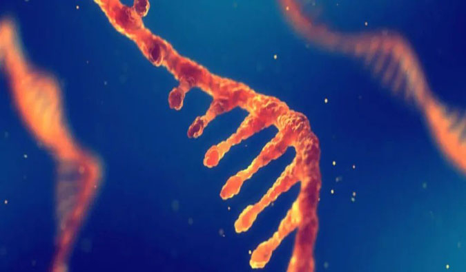 赋能核酸药物疗法，，，，，，，迎接新药研发第三次浪潮