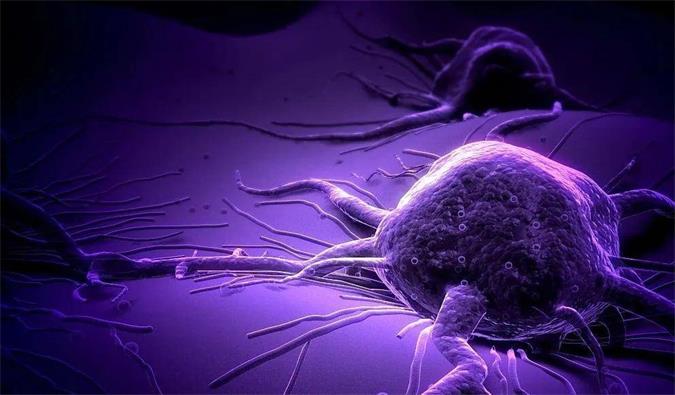 旋乐吧spin8助力轩竹生物研发的完全敲除岩藻糖的双抗ADC药物KM501获批临床