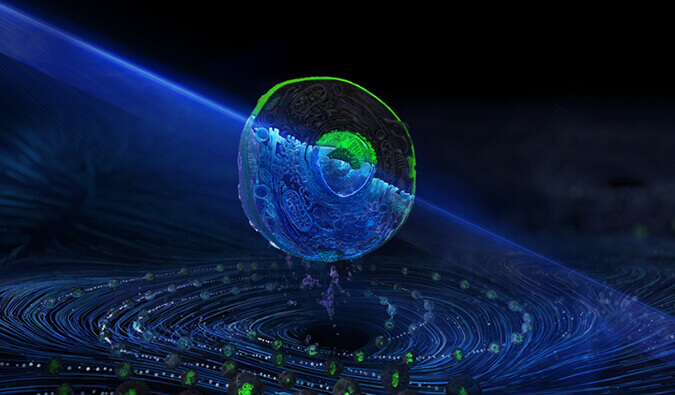 旋乐吧spin8流式细胞分选效劳平台