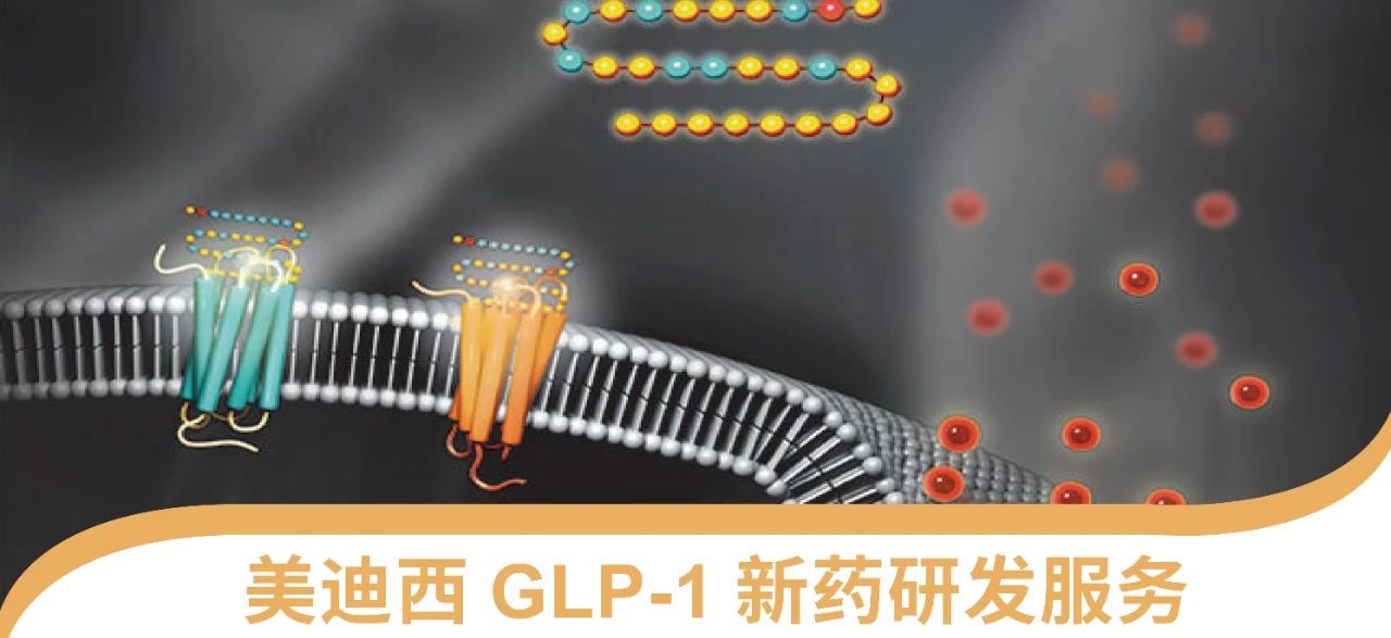 旋乐吧spin8一站式 丨 “GLP-1”新药研发效劳能力先容