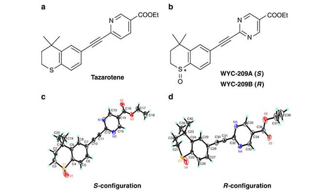 WYC-209可抑制恶性小鼠玄色素瘤肿瘤再生细胞增殖，，，SPR剖析通过旋乐吧spin8使用Biacore 8K装备举行