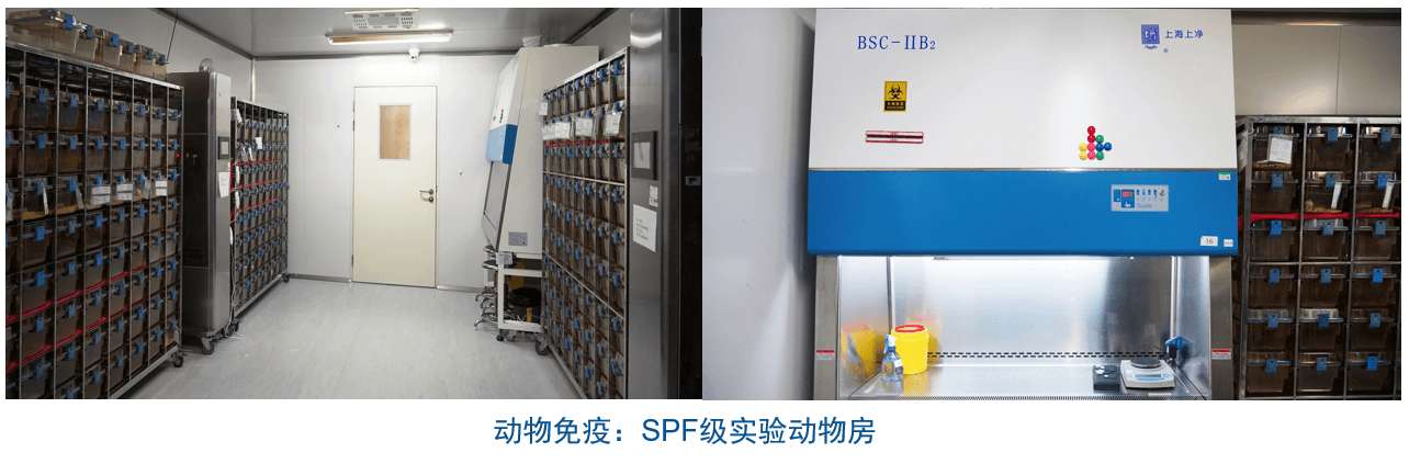 旋乐吧spin8杂交瘤手艺平台装备-动物免疫SPF级实验动物房