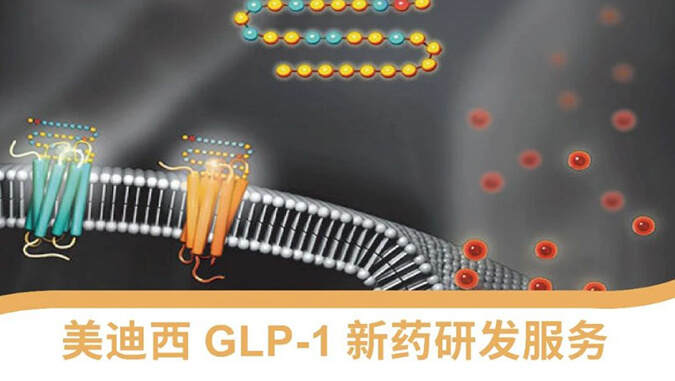 “GLP-1”新药研发效劳平台