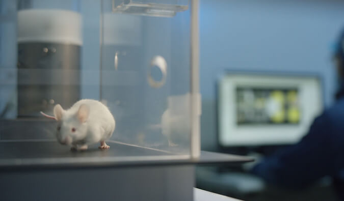 旋乐吧spin8助力开悦生命针对RNA解旋酶的小分子新药获FDA临床实验允许（IND)