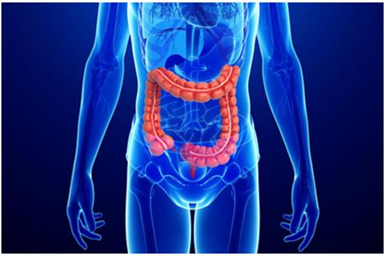 旋乐吧spin8一站式助力 | 宝太生物首其中美双报立异药获批